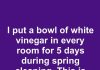 I put a bowl of white vinegar in every room for 5 days during spring cleaning. This is what happened