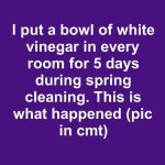 I put a bowl of white vinegar in every room for 5 days during spring cleaning. This is what happened