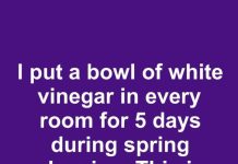 I put a bowl of white vinegar in every room for 5 days during spring cleaning. This is what happened
