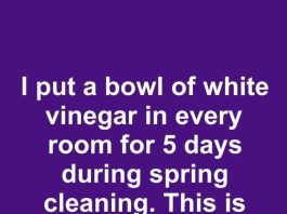 I put a bowl of white vinegar in every room for 5 days during spring cleaning. This is what happened