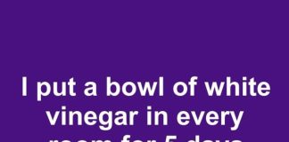 I put a bowl of white vinegar in every room for 5 days during spring cleaning. This is what happened