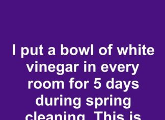 I put a bowl of white vinegar in every room for 5 days during spring cleaning. This is what happened