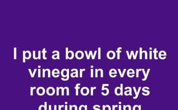 I put a bowl of white vinegar in every room for 5 days during spring cleaning. This is what happened