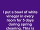 I put a bowl of white vinegar in every room for 5 days during spring cleaning. This is what happened