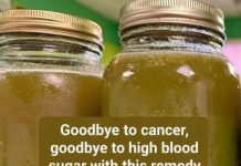 The Power of Natural Herbal Infusions: A Complete Wellness Guide
