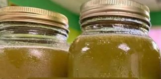 The Power of Natural Herbal Infusions: A Complete Wellness Guide