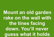 Mount an old garden rake on the wall with the tines facing down. You’ll never guess what it holds perfectly