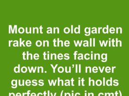 Mount an old garden rake on the wall with the tines facing down. You’ll never guess what it holds perfectly