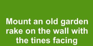 Mount an old garden rake on the wall with the tines facing down. You’ll never guess what it holds perfectly