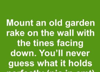 Mount an old garden rake on the wall with the tines facing down. You’ll never guess what it holds perfectly