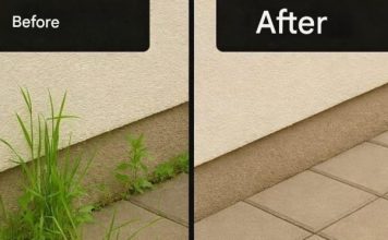 How to Make a Super Effective Homemade Cleaner (Powerful DIY All-Purpose Cleaning Solution)