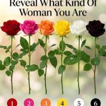 Pick a Rose and Reveal What Kind of Woman You Are
