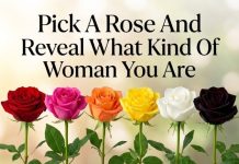 Pick a Rose and Reveal What Kind of Woman You Are