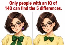 Find the 14 Differences Puzzle – Only 1% Can Spot Them All
