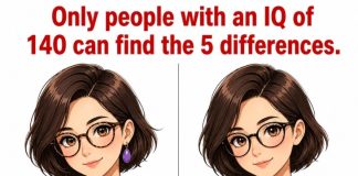 Find the 14 Differences Puzzle – Only 1% Can Spot Them All