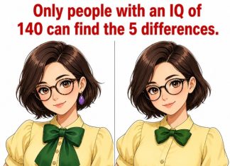 Find the 14 Differences Puzzle – Only 1% Can Spot Them All