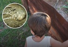 Toddler Claims to Remember Being Murdered in a Past Life and Identifies Where He Was Buried