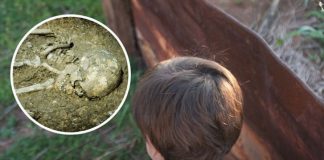 Toddler Claims to Remember Being Murdered in a Past Life and Identifies Where He Was Buried