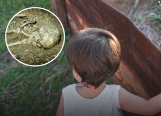 Toddler Claims to Remember Being Murdered in a Past Life and Identifies Where He Was Buried