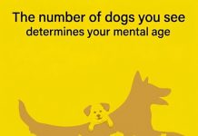 The number of dogs you see determines your mental age