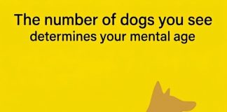 The number of dogs you see determines your mental age