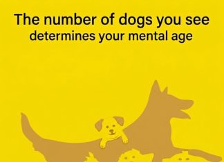 The number of dogs you see determines your mental age