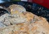 Baked Chicken with Cream of Mushroom