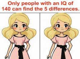 Most People Give Up Before Finding the 5th Difference… Will You?