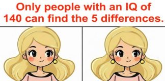 Most People Give Up Before Finding the 5th Difference… Will You?