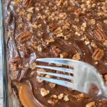 Classic Turtle Cake