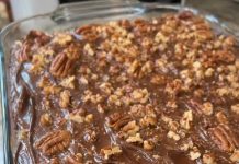 Classic Turtle Cake