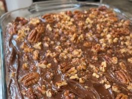 Classic Turtle Cake