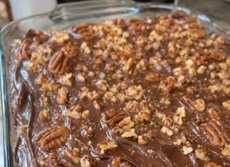 Classic Turtle Cake