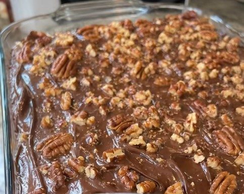 Classic Turtle Cake