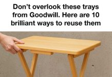 Don’t overlook these trays from Goodwill. Here are 10 brilliant ways to reuse them