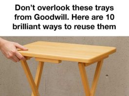 Don’t overlook these trays from Goodwill. Here are 10 brilliant ways to reuse them