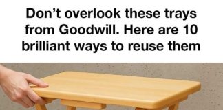 Don’t overlook these trays from Goodwill. Here are 10 brilliant ways to reuse them