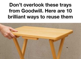 Don’t overlook these trays from Goodwill. Here are 10 brilliant ways to reuse them