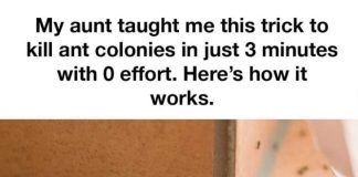 MY AUNT TAUGHT ME THIS TRICK TO KILL ANT COLONIES IN JUST 3 MINUTES WITH 0 EFFORT