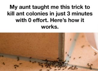 MY AUNT TAUGHT ME THIS TRICK TO KILL ANT COLONIES IN JUST 3 MINUTES WITH 0 EFFORT