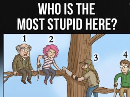 The “Branch of Fate”: Which Sinner Are You?