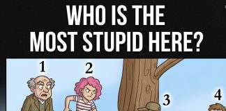 The “Branch of Fate”: Which Sinner Are You?