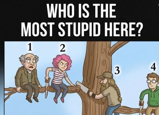 The “Branch of Fate”: Which Sinner Are You?