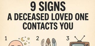 9 Signs of Connection from Deceased Loved Ones
