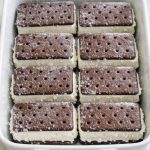 Put Frozen Ice Cream Sandwiches in the Oven-Safe Dish — The Viral Dessert Trick Everyone Is Talking About