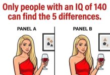 These Two Images Look Identical — But Only 1% Of People Can Find All 5 Differences