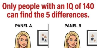 These Two Images Look Identical — But Only 1% Of People Can Find All 5 Differences