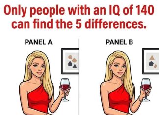These Two Images Look Identical — But Only 1% Of People Can Find All 5 Differences