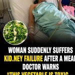Doctors Warn: Woman Developed Acute Kid.ney Failure After Eating Vegetables—The Hidden Mistakes Everyone Should Avoid