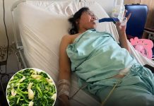 Doctors Warn: Woman Developed Acute Kid.ney Failure After Eating Vegetables—The Hidden Mistakes Everyone Should Avoid